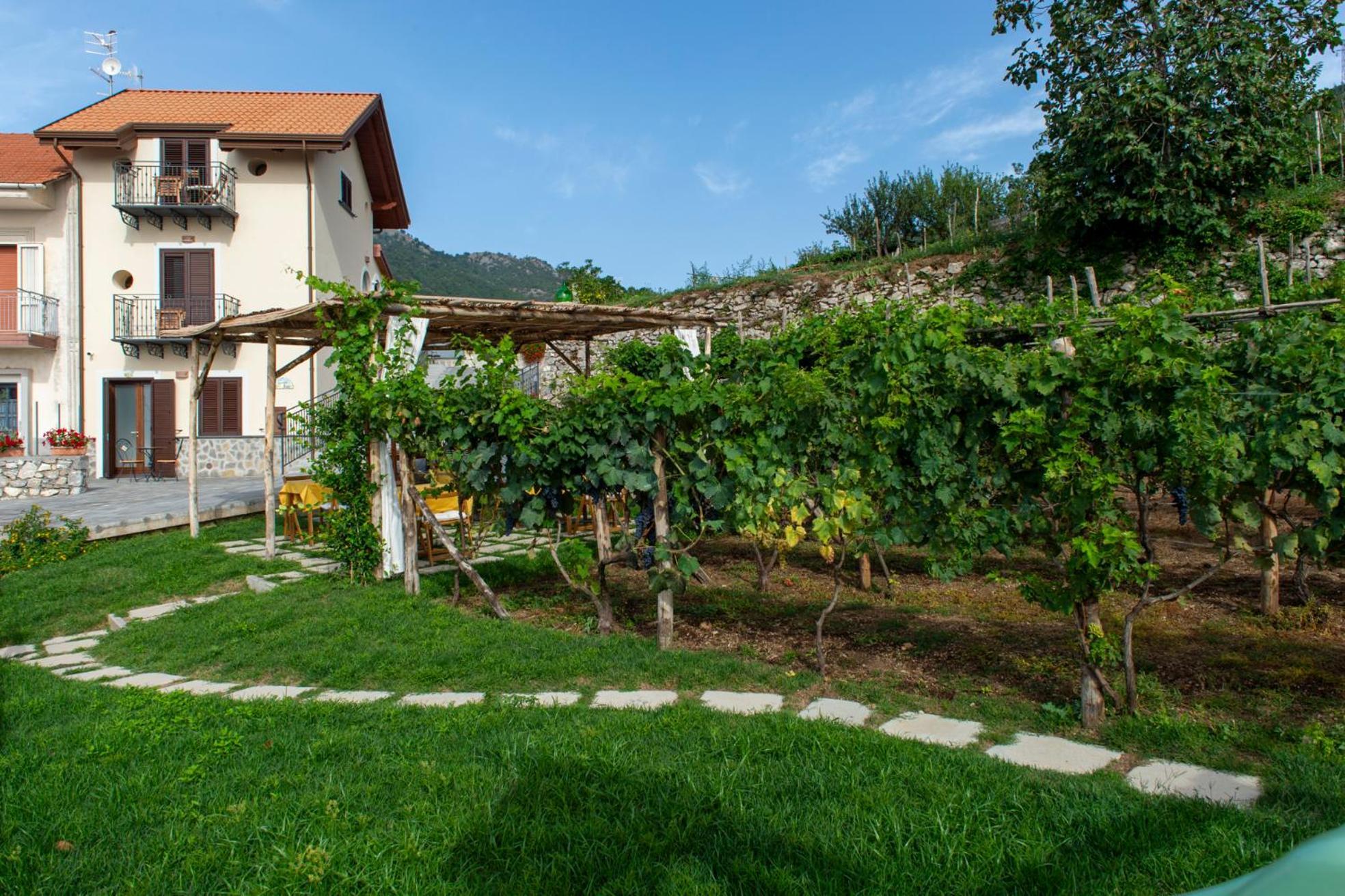 مبيت وإفطار أَجيرولا Il Vigneto Di Nonno Pietro المظهر الخارجي الصورة